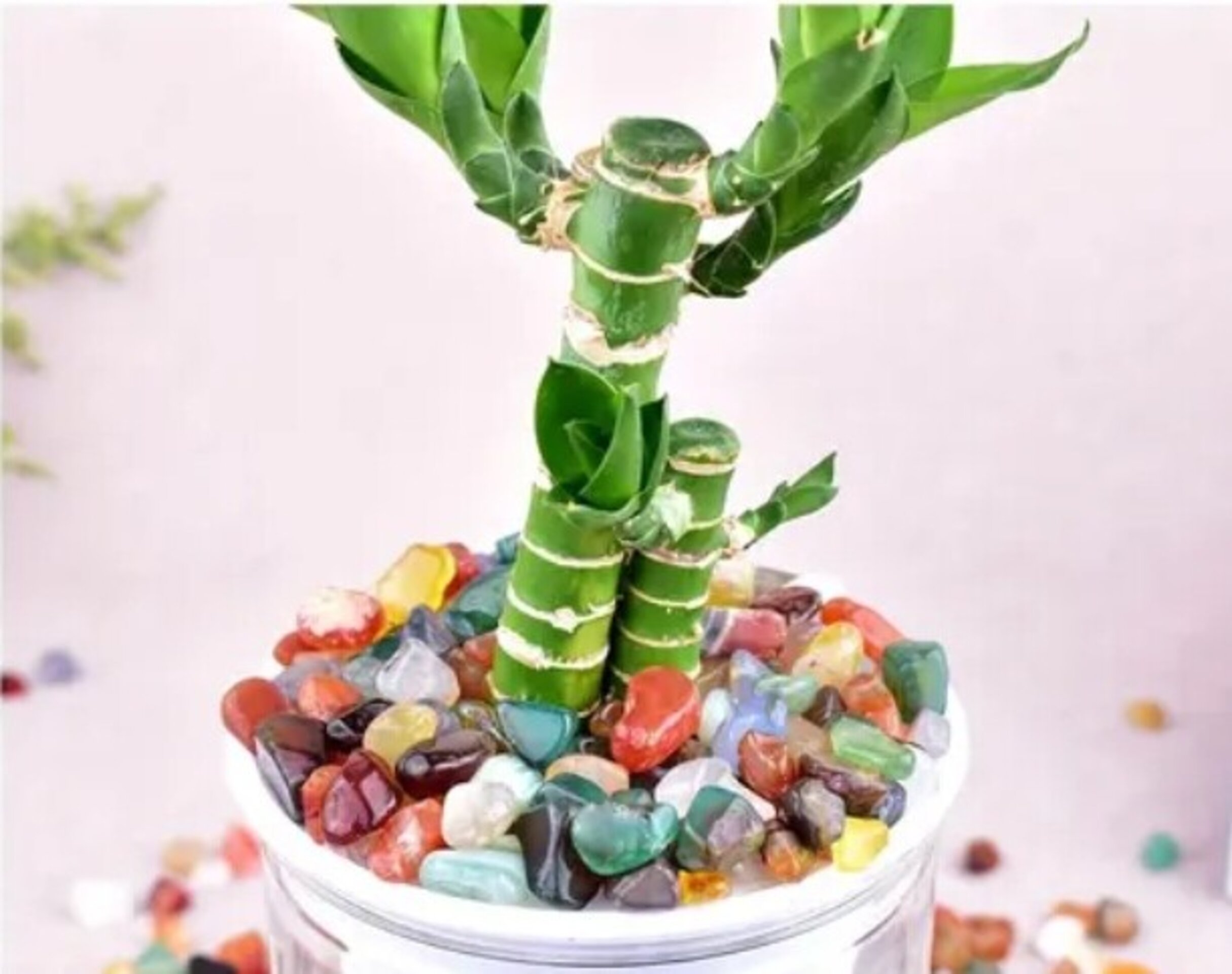 Piedras Cristal Natural Mixto 5G - 3