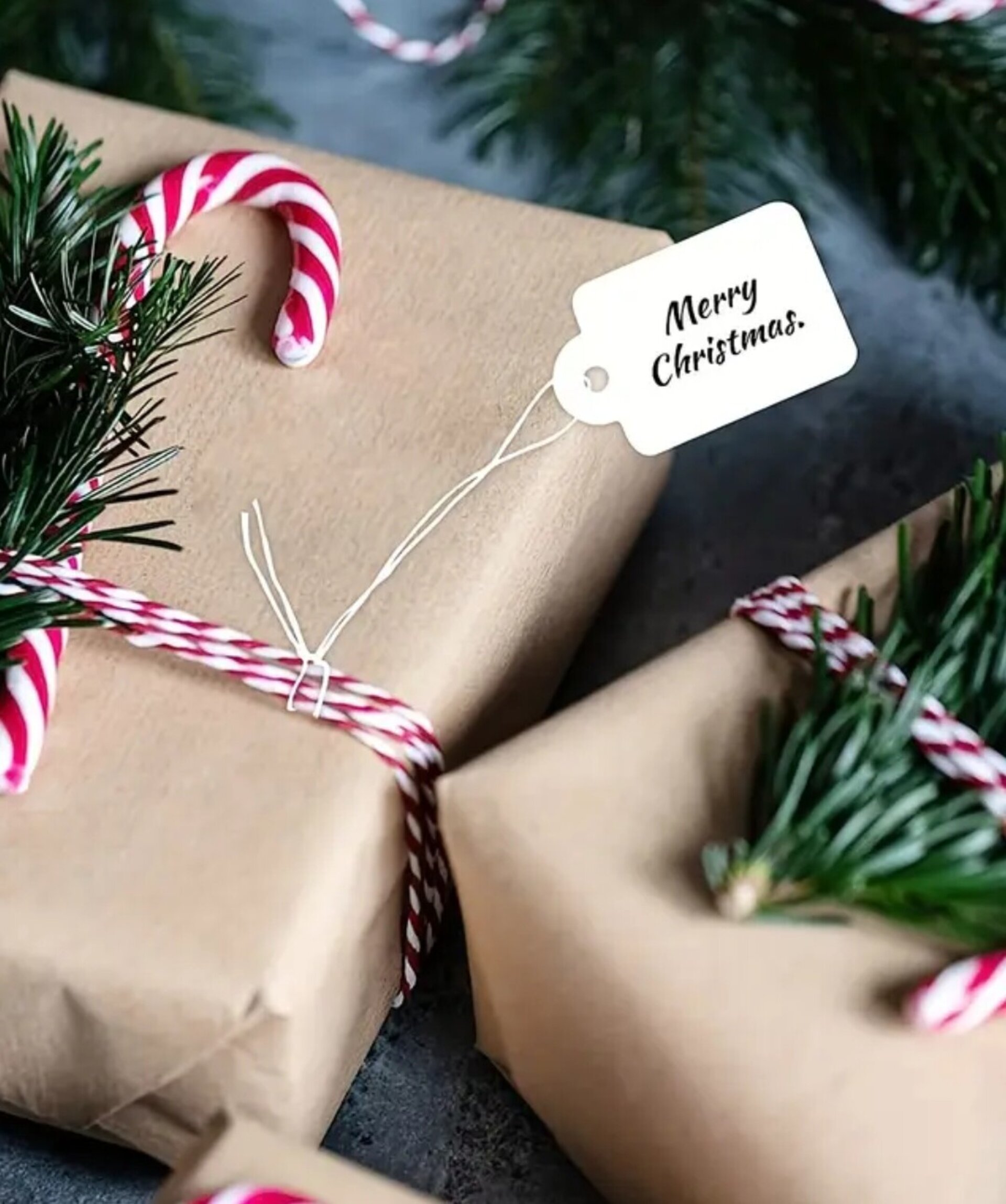 Etiqueta Blanca 23x13 Más Cuerda - 2